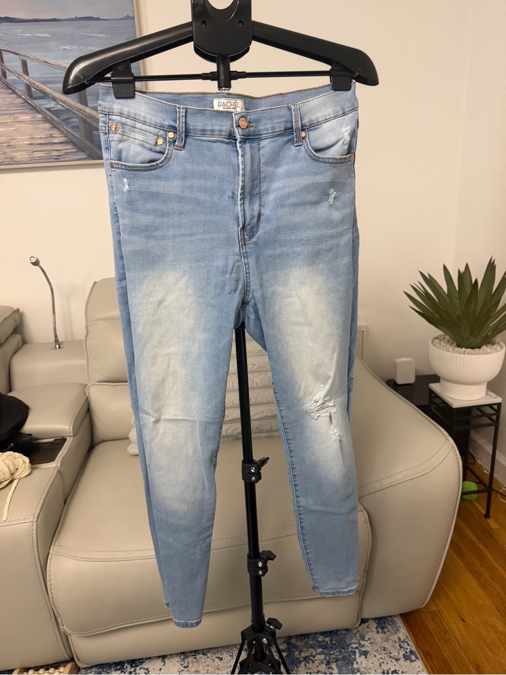 Rachel Light Wash Distressed Skinny Jeans